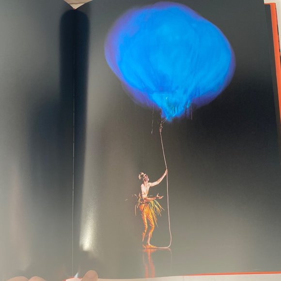 Varekai Cirque Du Soleil illustrated hardcover +DJ by Veronique Vial 2003 - Picture 7 of 8
